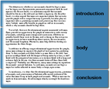 Essay structure - Monash University